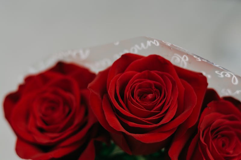 Bouquet de roses rouges romantiques interflora