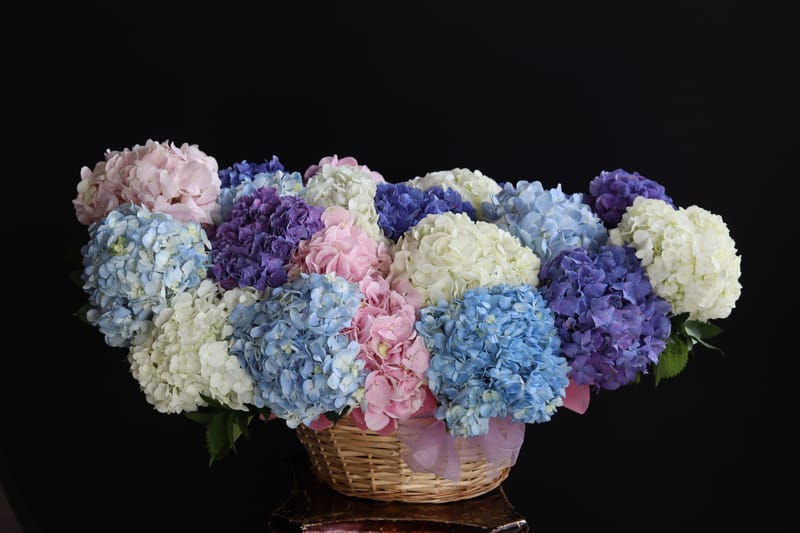 Composition florale luxueuse corbeille fleurie Interflora