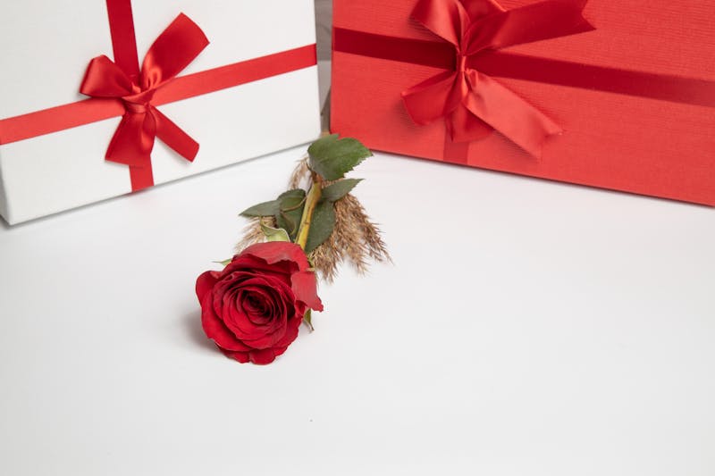 Nouvelles tendances florales inter flora 2026